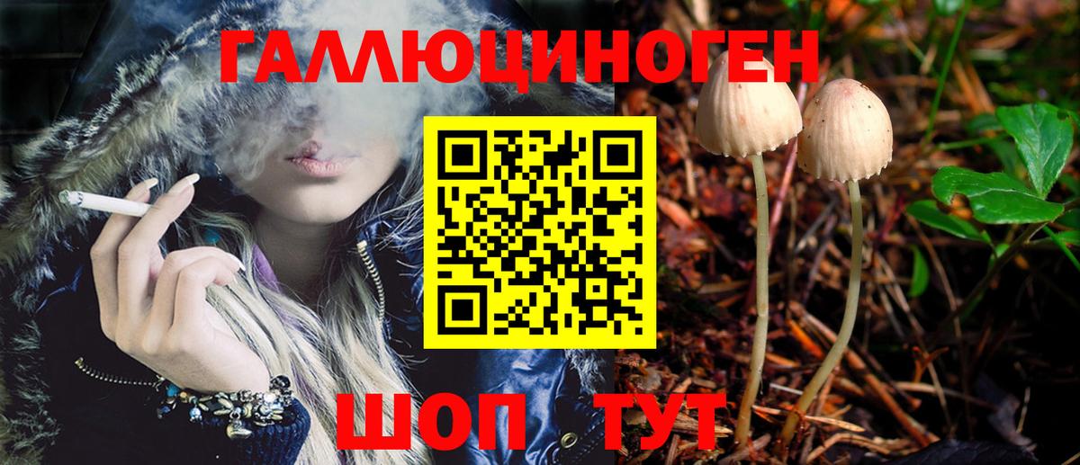 Галлюциногенные грибы Psilocybine cubensis Фрязино