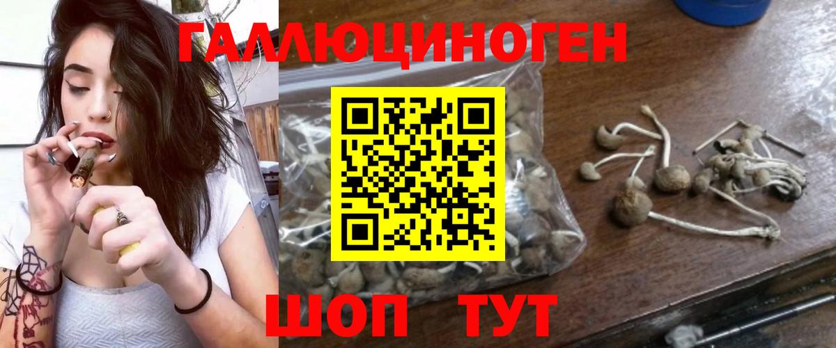 Фрязино  Псилоцибиновые грибы MAGIC MUSHROOMS  Галлюциногенные грибы ЛСД  как найти наркотики  Вход с VPN 